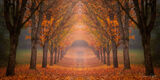 The Amber Cathedral: A Mirrored Passage