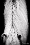 The Parting — Haflinger Fine Art 