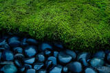 Moss and Stone — Portland Japanese Garden, Oregon
