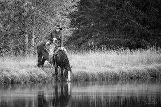Black and white cowboy on horseback at still pond edge with horse drinking, reflected in water, Wyoming.