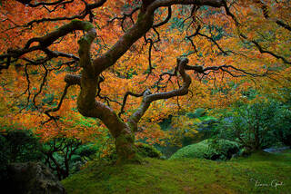 Favorite Landscape & Nature Photography and Fine Art Prints 