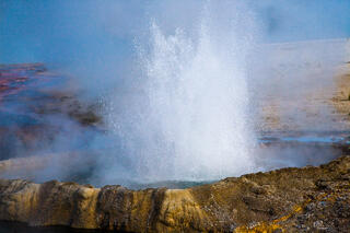 Thermal spouter erupting in burst of water and steam at Black Sand Basin, Yellowstone National Park, Wyoming.
