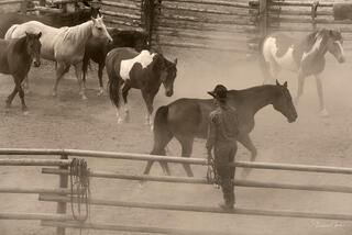 Cowboy standing among mixed horse herd in dusty sepia-toned corral, halter in hand, western ranch fine art photography by Tamara Gooch.
