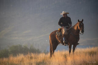 Cowboy on sorrel horse paused in golden autumn grass, warm backlight, misty blue-grey mountain slope behind, fine art western photography by Tamara Gooch.