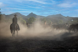 Cowboy on horseback in dusty corral, horses moving through gate, dramatic mountain backdrop and blue sky, western ranch fine art photography by Tamara Gooch.