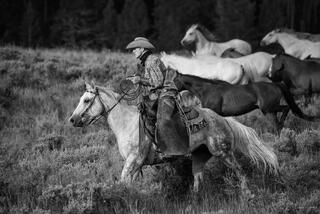 Black and white fine art photo of a cowboy on a gray horse keeping pace alongside a running herd through Wyoming sagebrush, dark timber behind.