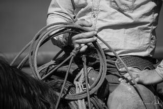 Close detail of cowboy hands holding coiled rope, braided leather belt, worn western shirt, horse beneath, black and white fine art photography by Tamara Gooch 