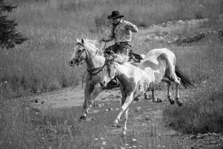 Black and white fine art photo of a cowboy on horseback pushing two light-colored horses through a rocky creek crossing, Wyoming.