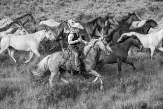 Black and white fine art photo of a cowboy on horseback riding among a running herd of horses across open Wyoming rangeland.