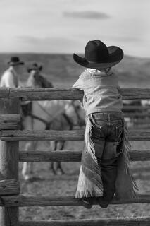 Small child in cowboy hat and fringed chaps climbing corral fence watching cowboys and horses, black and white western fine art photography by Tamara Gooch.