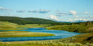 The Yellowstone River winds through sage-covered meadows of Hayden Valley beneath a summer sky, conifer ridgelines and distant peaks beyond, Yellowstone NP