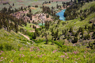 Color fine art photo of Hell Roaring Valley in Yellowstone, pink wildflowers in foreground sweeping down to turquoise river winding through green hills.