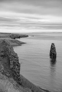 Black and white sea stack rising from calm water beside layered cliffs, Iceland coast.