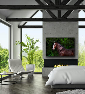 How to choose Fine Art Photography for your home