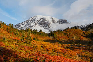 Snow-capped Mount Rainier rising above blazing red and orange autumn meadows at Paradise, Mount Rainier National Park, Washington.