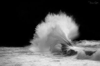 Massive wave forming perfect dome of white spray against absolute black background, Washington coast, black and white fine art photography by Tamara Gooch