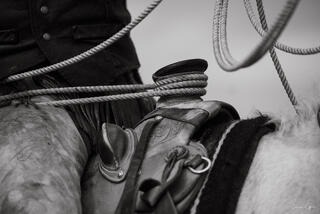 Black and white fine art close detail of a rope dallied around a saddle horn on a working western saddle, Montana ranch.
