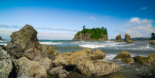Ruby Beach Washington sea stacks and tree-topped island rising from surf, lichen-covered foreground rocks, brilliant blue sky, panoramic fine art photography by