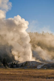 Color fine art photo of Steamboat Geyser erupting in a massive column of steam and water above autumn grasslands and conifers, Yellowstone National Park.