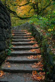 stone stairs with fall leaves columbia river gorge fine art photography print with forest pathway