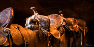 Color panoramic fine art photo of a row of tooled leather western saddles on a rack in warm amber light, American West tack room.
