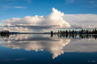 Massive cumulus cloud perfectly reflected in still Yellowstone Lake surface, treeline silhouette, Wyoming landscape fine art photography by Tamara Gooch.