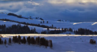 Color fine art photo of snow-covered Lamar Valley rolling hills in deep winter blue light, scattered conifers, dramatic cloud sky, Yellowstone National Park.