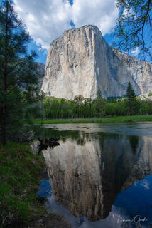 El Capitan granite monolith reflected in still Merced River pool, spring green trees, Yosemite Valley fine art landscape photography by Tamara Gooch.