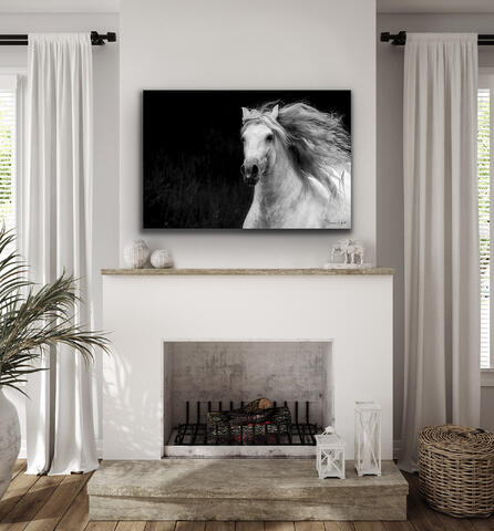 Andalusian Horse Fine Art Print