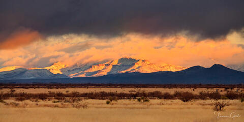 Golden sunset on the snow-capped Winchester Mountains of Southern Arizona by Tamara Gooch.