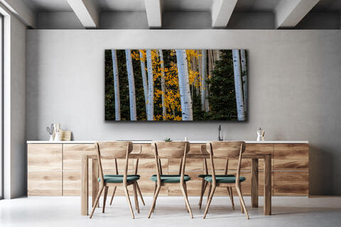 Aspens Trees Fall Fine Art print dining room