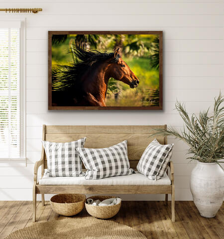 Andalusian, horse, equine, cheval, caballos, PRE, Spanish, bay, equestrian, style, lifestyle, home, decor, interior, design...