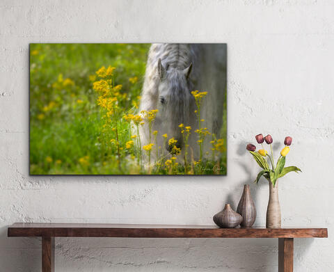 Beautiful White Horse in Wildflowers Print