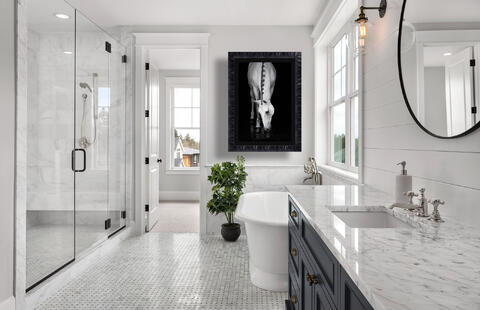 interior, design, bathroom, artwork, horse, horse photography, equine, cheval, caballos, pferd, art, wall, home, decor, design...