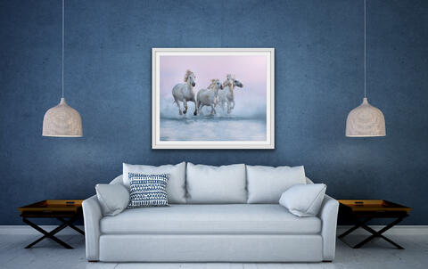 Fine, art, print, framed, living room, modern, white, horses, Camargue, limited, edition, signed, art, equestrian, home, decor...