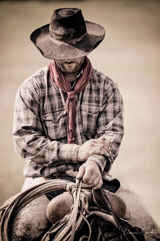 Working Cowboy