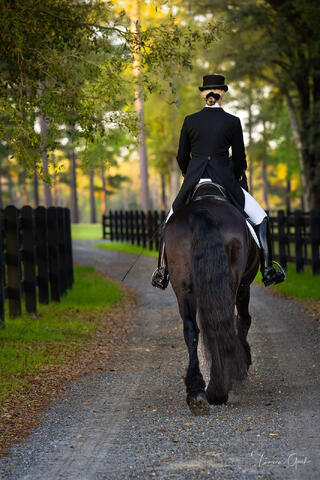 Full-color fine art photograph of a dressage rider in a top hat and tails riding away on a dark horse.
