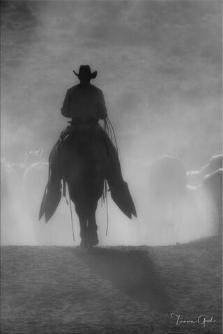Black and white Western Cowboy photo print of a cowboy pushing horses surrounded by dust.