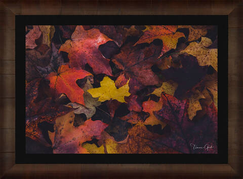 FRAMED ULTRA LUMACHROME® HD TRULIFE® ACRYLIC PRINT