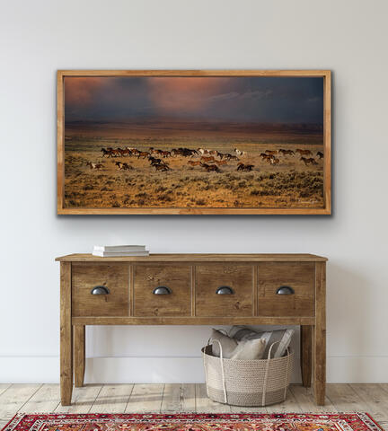 Framed Canvas print of a Wild Mustang Herd Running