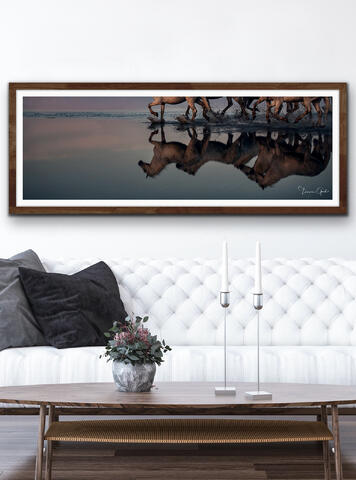 Framed Fine Art Print Camargue Horses