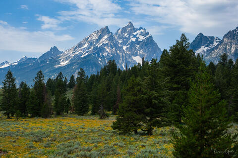 Grand Teton Fine Art Photography Prints | Tamara Gooch | Tamara