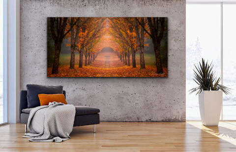 Autumn Tree Lined Road living room