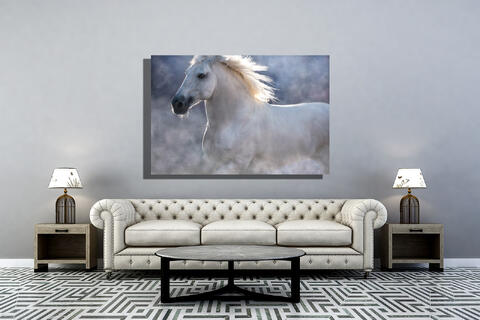 white, lusitano, horse, dust, Portugal, aluminum, plexi, equine, equestrian, home, decor, interior, art, design, fine, print...