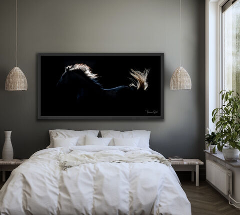 Lusitano Horse Photo Print Framed Bedroom