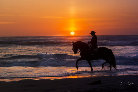 Silhouette of Spanish horse and rider in traditional attire cantering through ocean surf at sunset in Mexico fine art photography