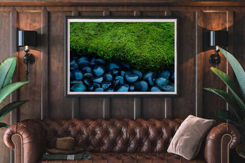 Nature Photography Print 