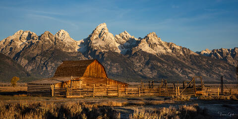 John Moulton Barn on Mormon Row glowing in golden sunrise light with snow-capped Teton Range behind, Grand Teton National Park.
