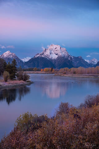 Mount Moran reflected in still Snake River at Oxbow Bend under pink and blue dawn sky with autumn foliage, Grand Teton National Park.