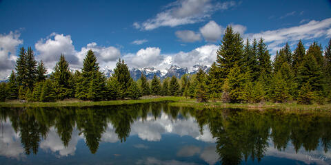 Spruce forest and snow-capped Teton peaks reflected in still water at Schwabacher's Landing, Grand Teton National Park.